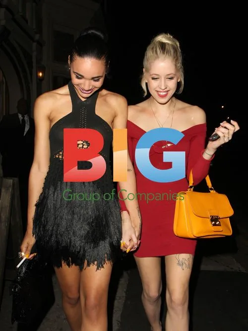 Peahces Geldof at Party in London