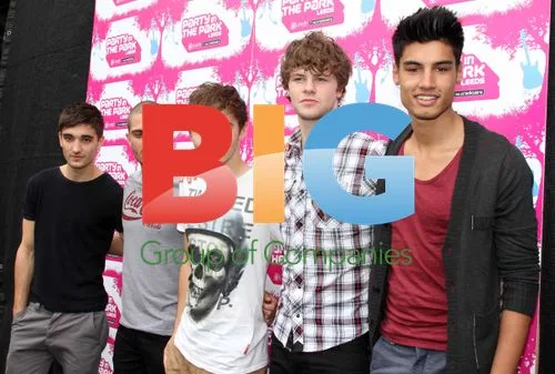 The Wanted at Party in the Park