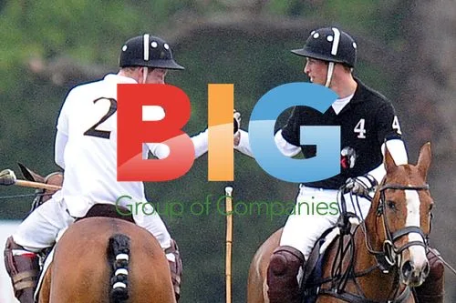 Prince William and Harry Playing Polo