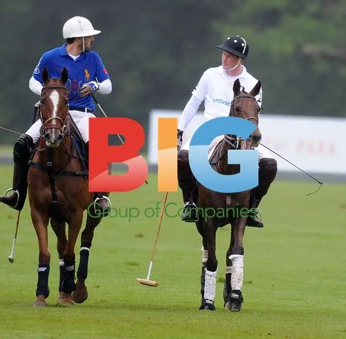 Princes William and Harry Polo Match