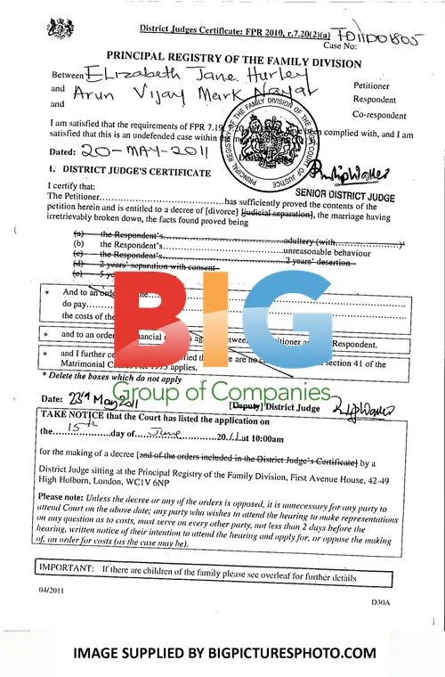Elizabeth Hurley and Arun Nayar Divorce Papers