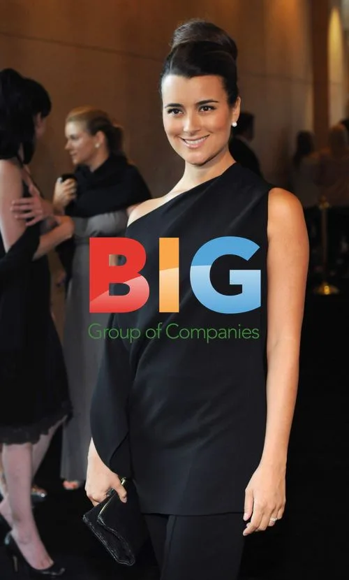 Cote de Pablo at Women In Film 2011 Crystal + Lucy Awards