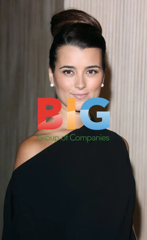 Cote de Pablo at 2011 Women in Film Awards