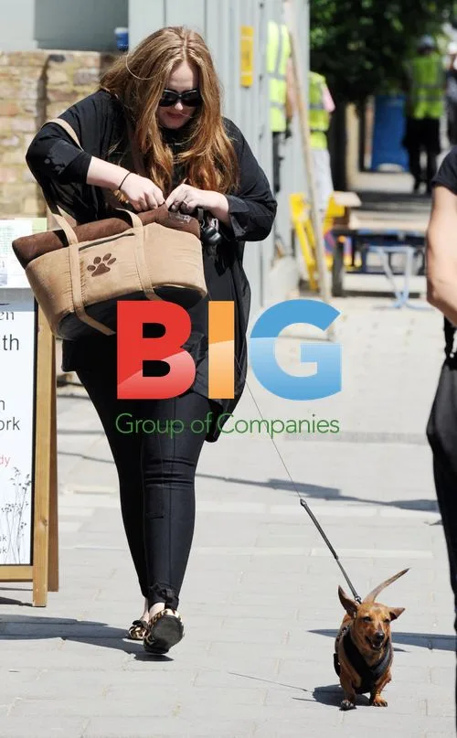 Alan Carr and Adele Walk Dogs
