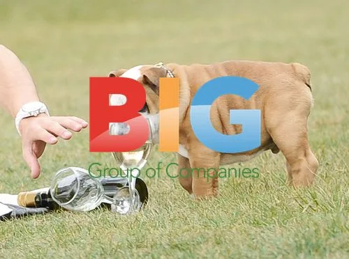 Lauren Pope and Kirk Norcross Enjoy Picnic with Dog