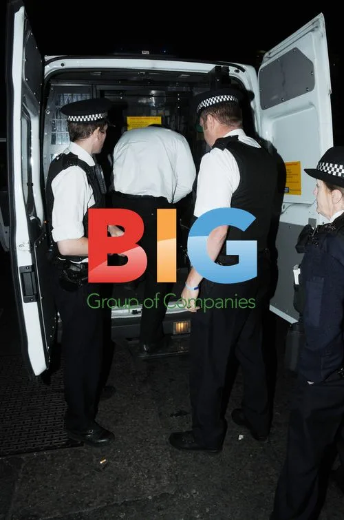 Reveller allegedly struck by doorman