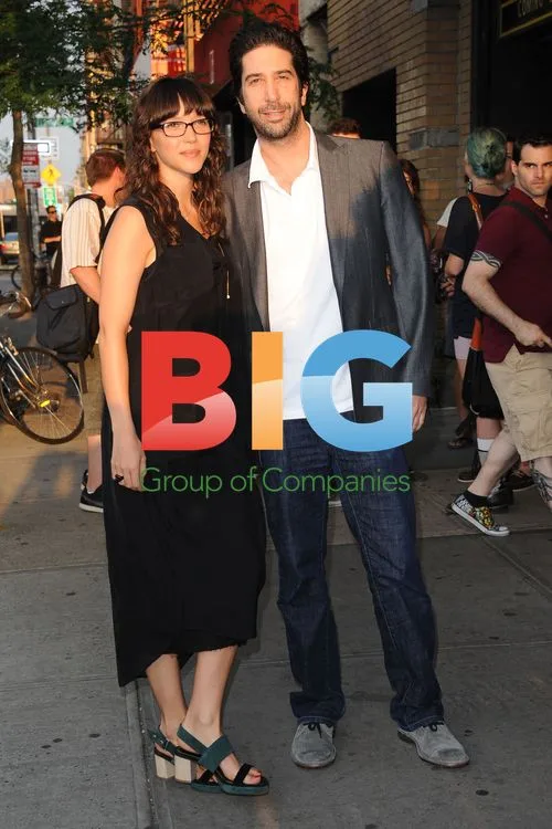 David Schwimmer at 'The Ledge' Premiere