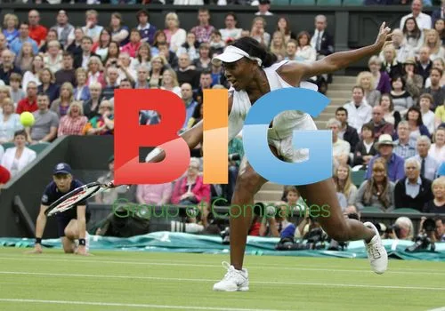 Venus Williams at Wimbledon