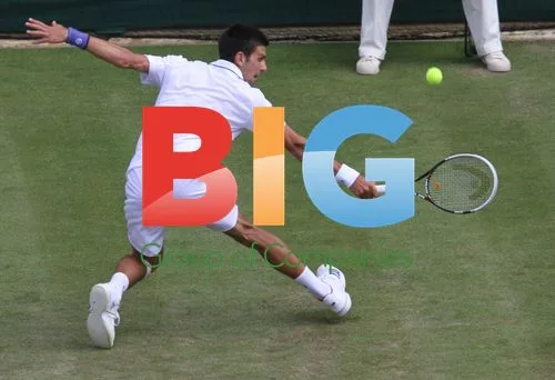 Novak Djokovic at Wimbledon