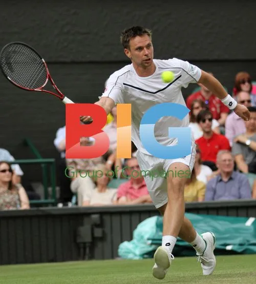 Robin Soderling at Wimbledon 2011