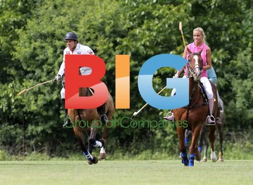 Katie Price and Leandro Penna Polo Outing
