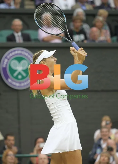 Maria Sharapova vs Dominika Cibulkova at Wimbledon 2011