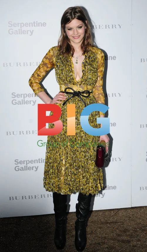 Amber Anderson at Serpentine Gallery Party