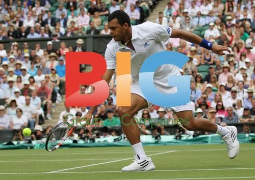 Jo-Wilfried Tsonga at Wimbledon