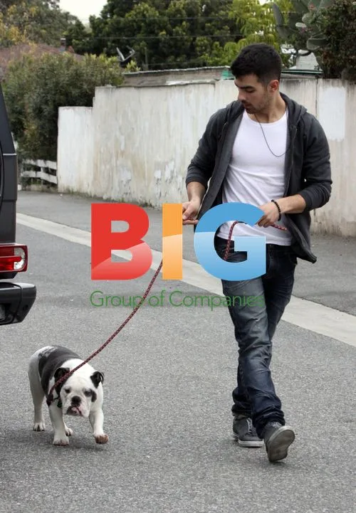Joe Jonas Lunch with Friends in LA