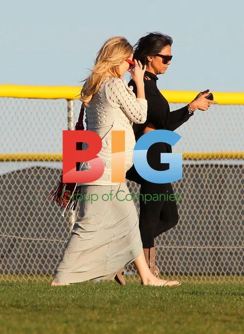 Pregnant Kate Hudson at Baseball Game