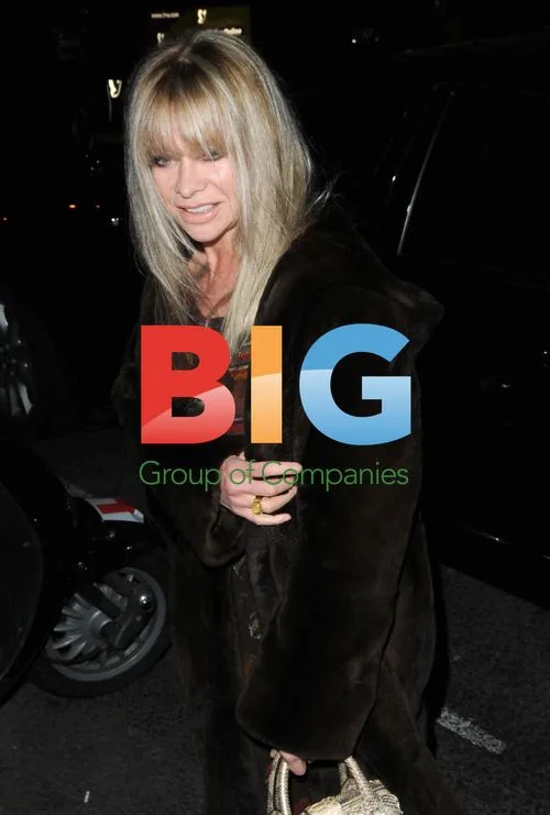 Sarah Harding's Engagement Party