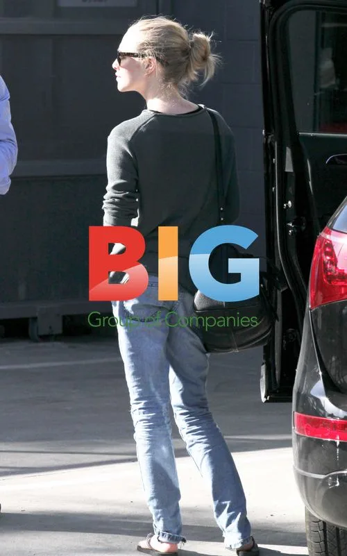 Amanda Seyfried Gets Her Audi Q5 Serviced