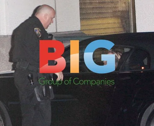 Sharon Stone Pulled Over by Police in Beverly Hills
