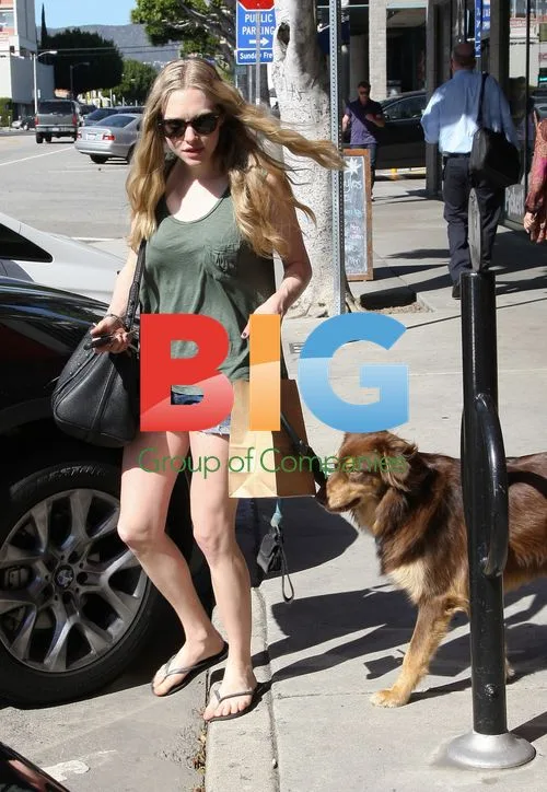 Amanda Seyfried Walking Dog in Tiny Shorts