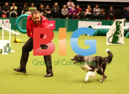 Ant and Dec at Crufts 2011