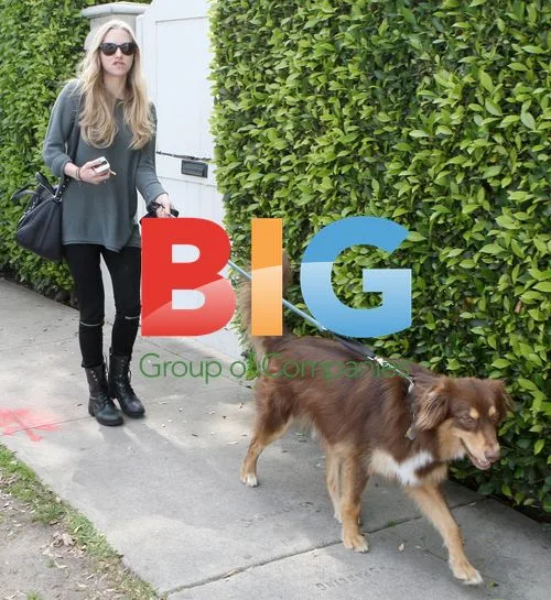 Amanda Seyfried on Dog Walk in Beverly Hills