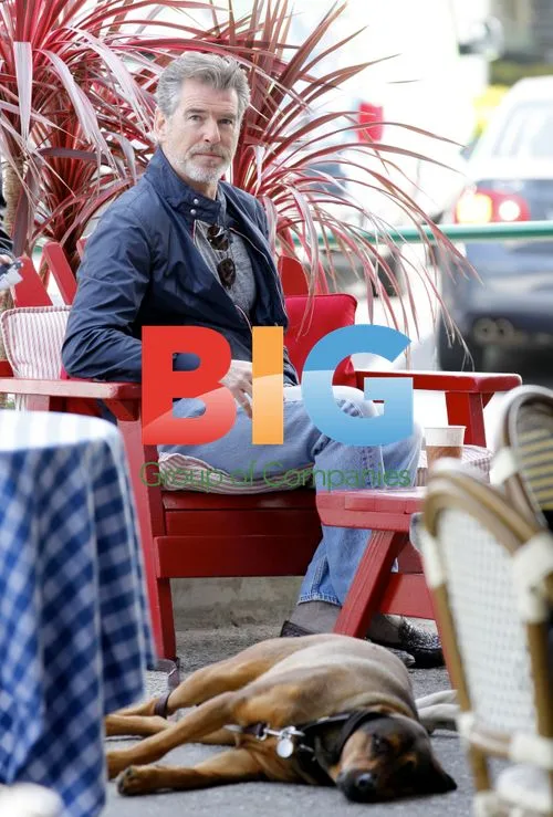 Pierce Brosnan relaxes in Malibu