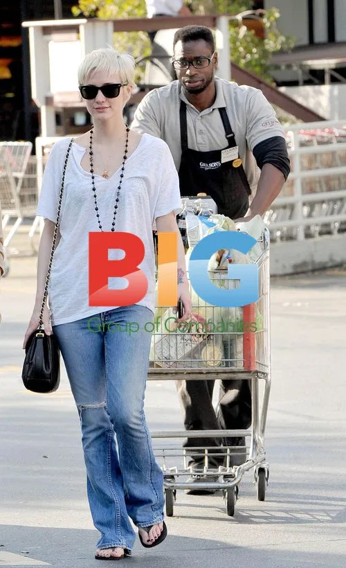 Ashlee Simpson Grocery Shopping