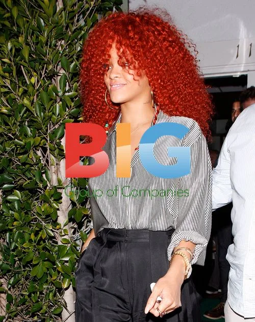 Rihanna dines with Colin Farrell