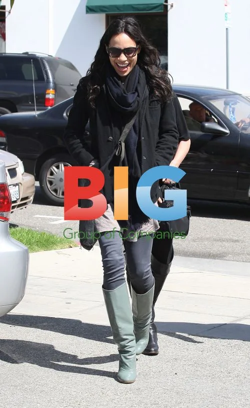 Rosario Dawson Seen at Brentwood Lunch