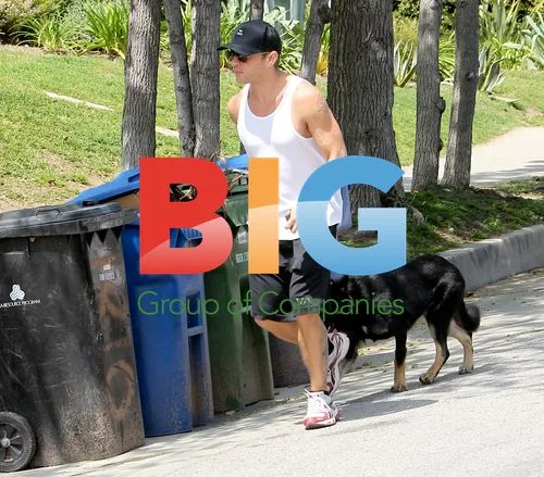 Ryan Phillippe and Amanda Seyfried go dog walking