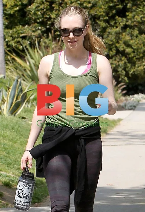 Ryan Phillippe and Amanda Seyfried Dog Walking