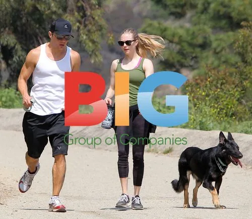 Ryan Phillippe and Amanda Seyfried go dog walking