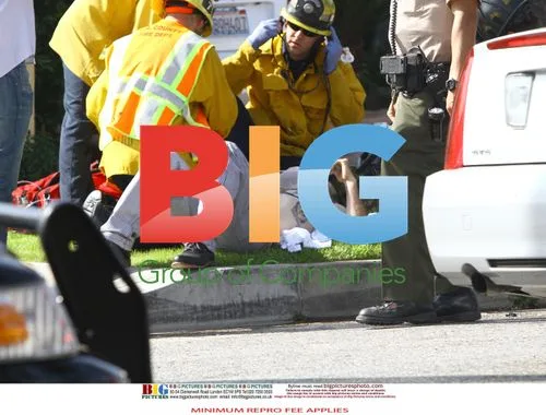David Arquette Car Crash