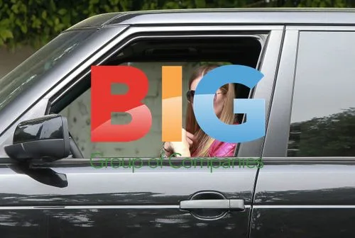 Nicky Hilton Pulled Over for Speeding