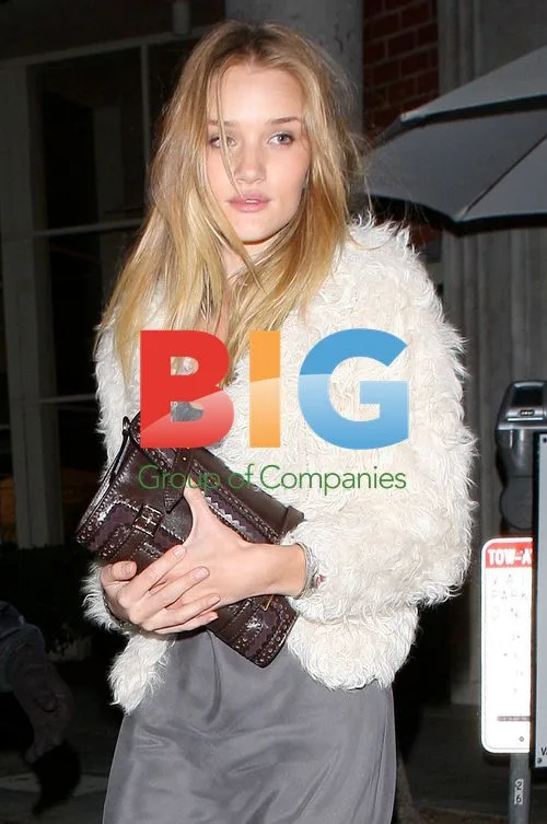 Jason Statham and Rosie Huntington-Whiteley Leave Mr. Chow's