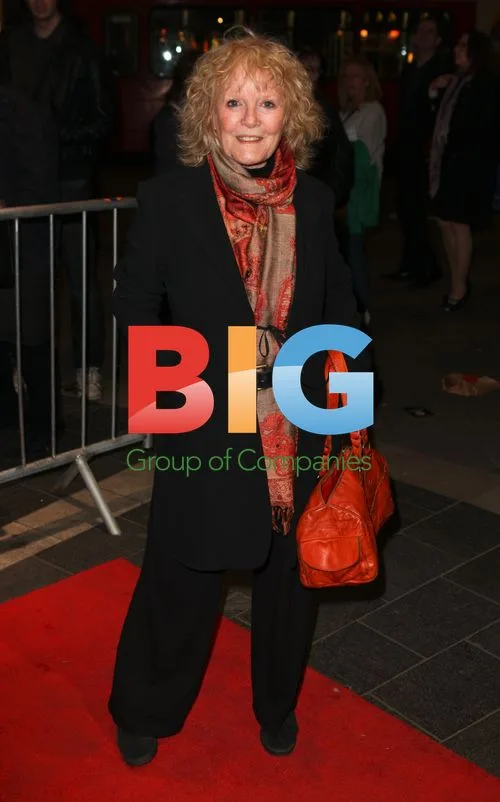 "The Umbrellas Of Cherbourg" Theatre Press Night