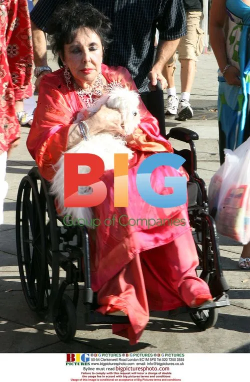 Elizabeth Taylor Celebrates Gay Marriage Legalization