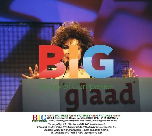 Elizabeth Taylor at GLAAD Media Awards