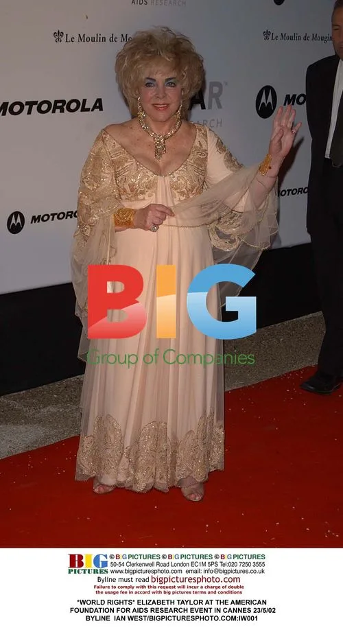 Elizabeth Taylor at AmFAR Event in Cannes