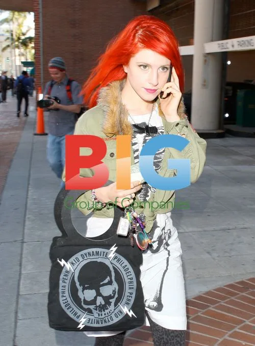 Hayley Williams Giving to Homeless