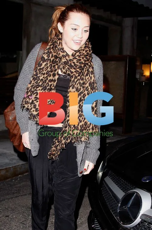 Miley Cyrus Out with Brother Braison