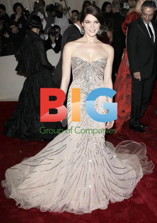Ashley Greene at 2011 Met Gala