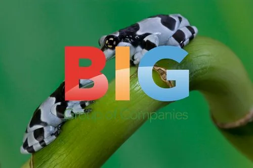 Photographer Discovers Beauty in Frogs