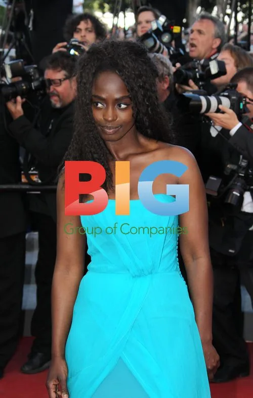 Aissa Maiga at 'The Tree Of Life' Cannes Premiere