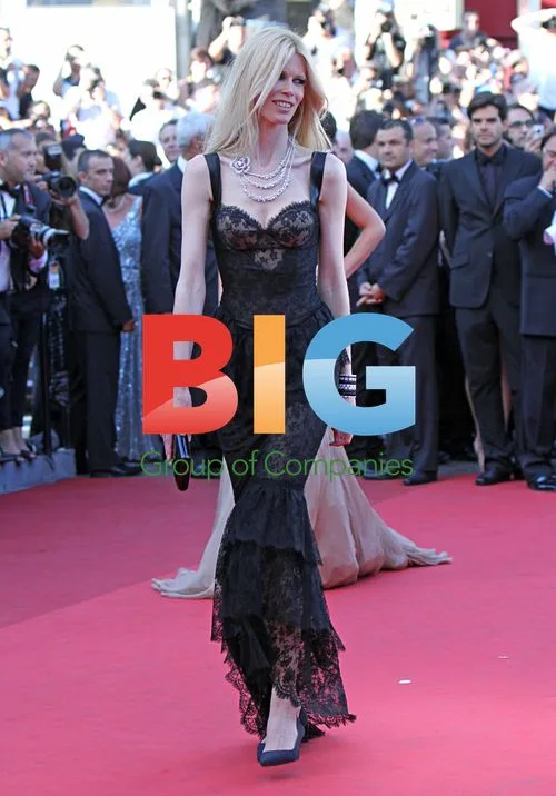 Claudia Schiffer at "This Must Be The Place" premiere