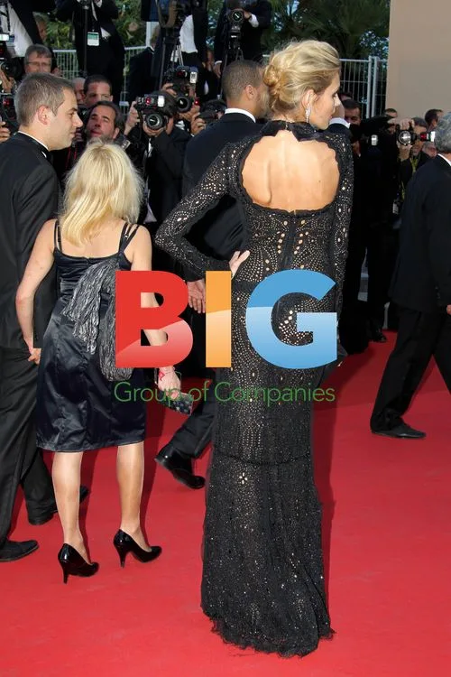 Anja Rubik at 'This Must Be The Place' Cannes Premiere