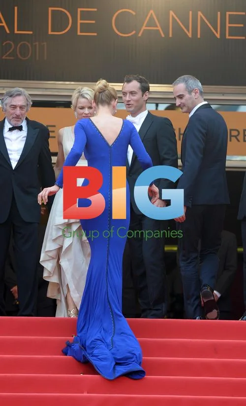 Cannes 2011: 'Les Bien-Aimes' Premiere