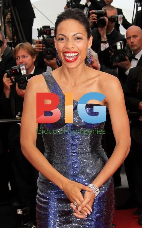 Rosario Dawson at 'Les Bien-Aimes' Premiere