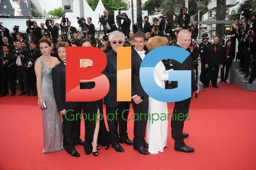 Cannes 2011 Premiere of 'The Skin I Live In'
